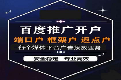 百度竞价广告投放实战案例分享